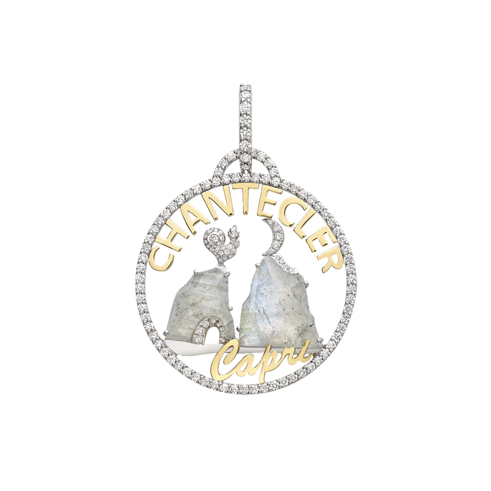 Charm Logo Moonlight