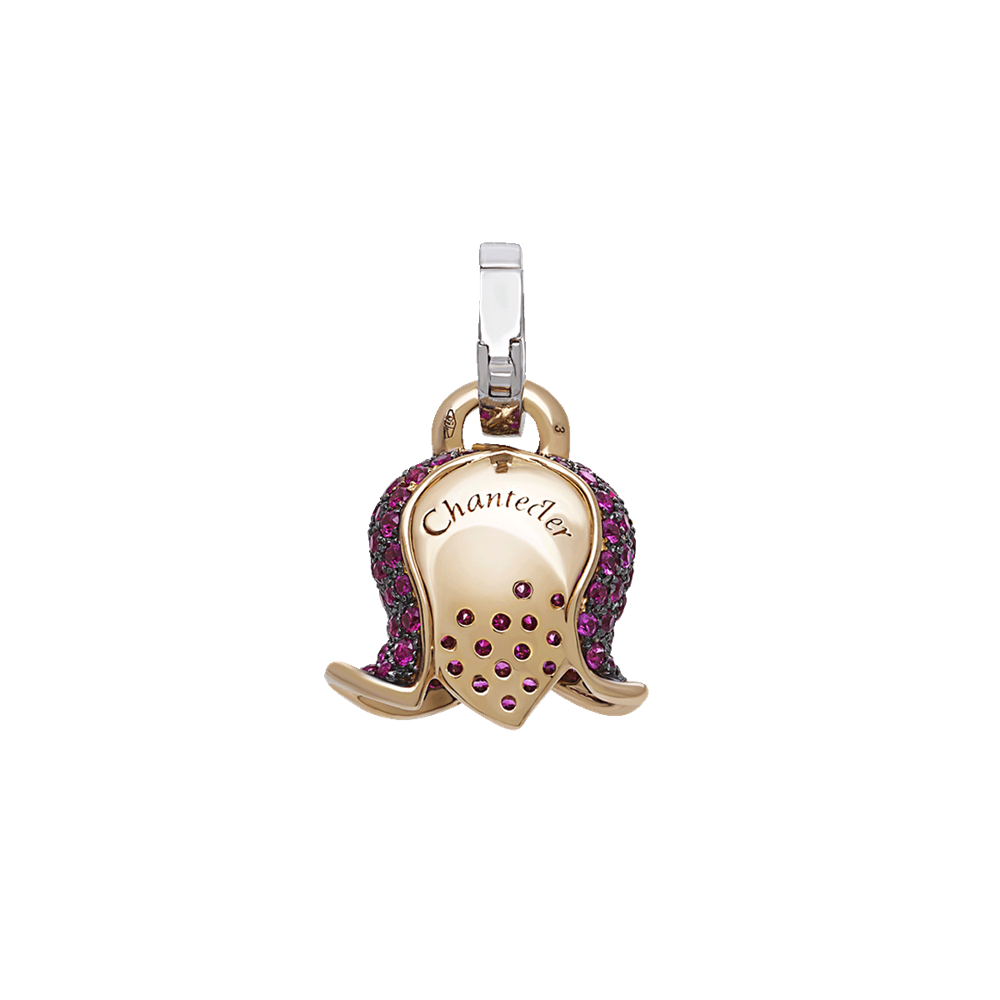 Campanella media Bouganville