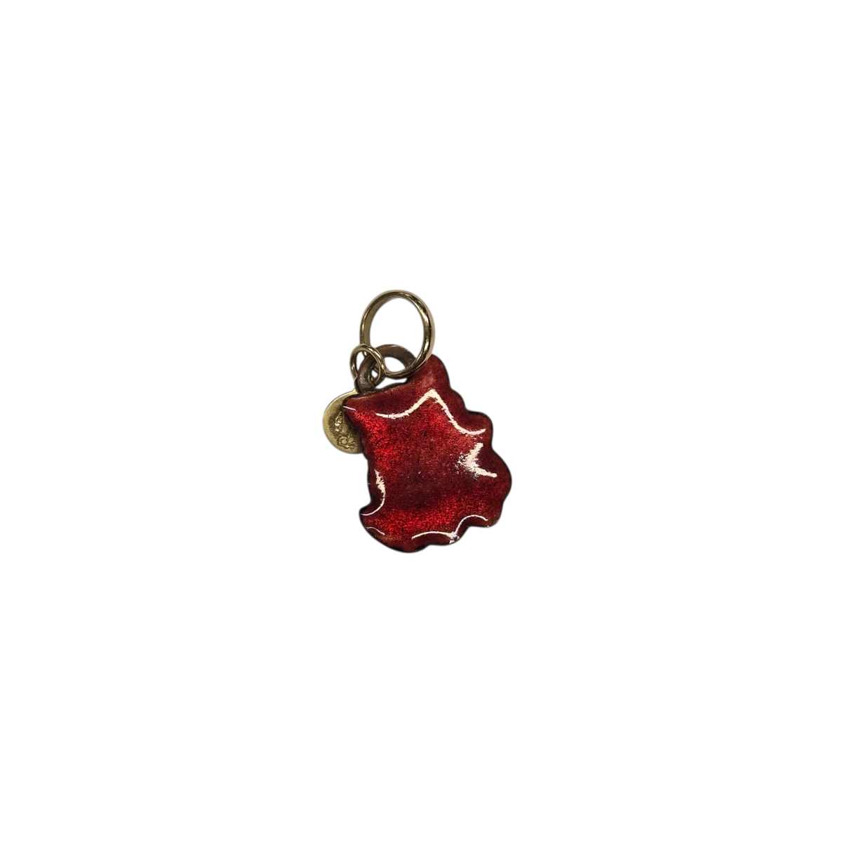 Charm Gabriella Rivalta Gattino