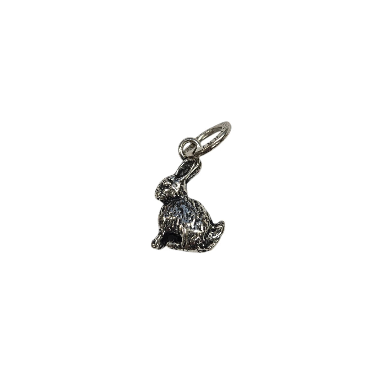 Charm Coniglio