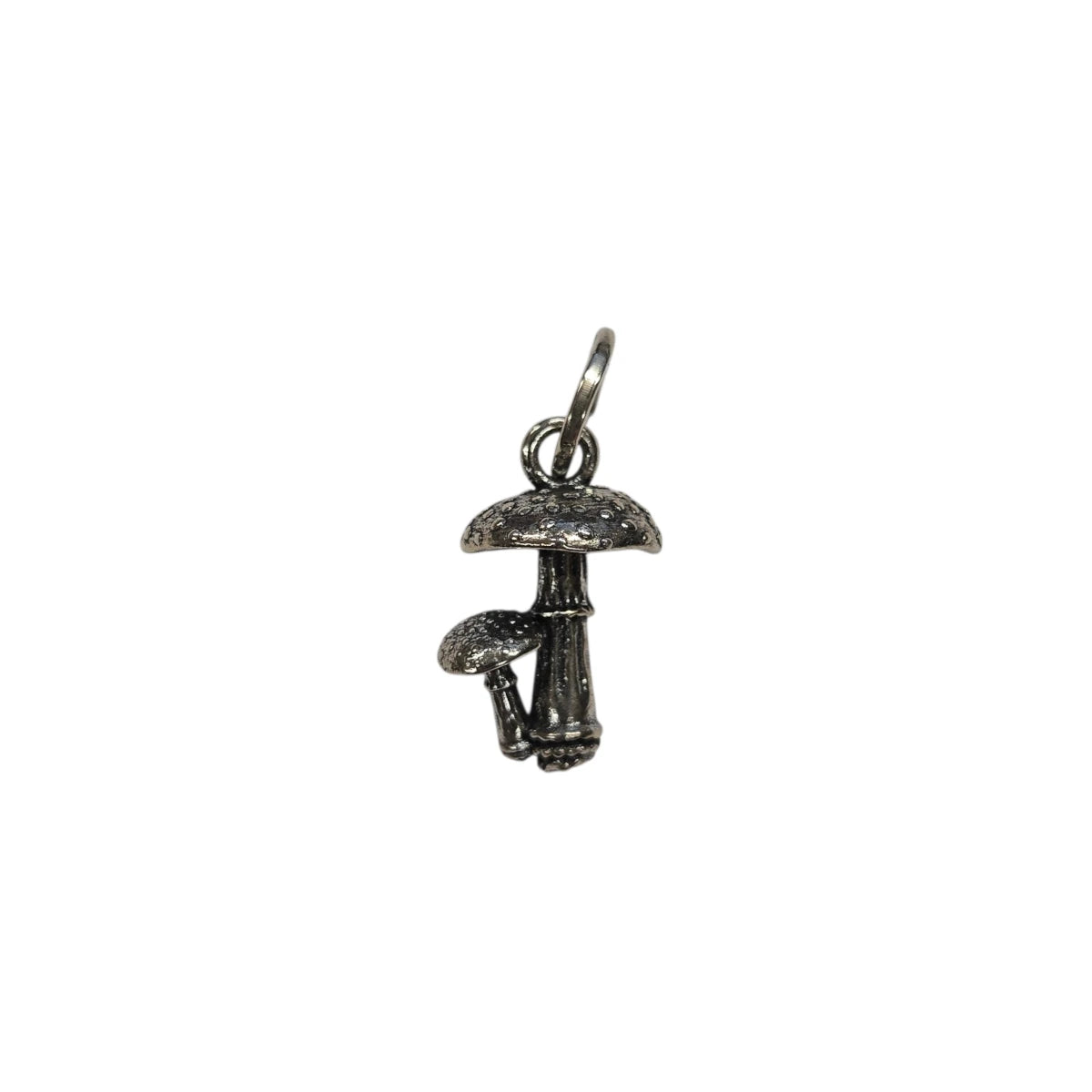 Charm Funghi