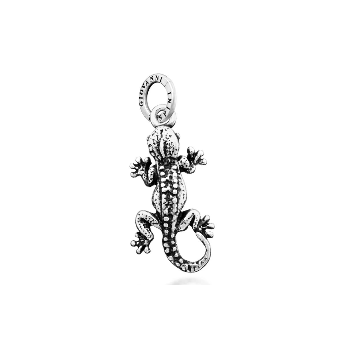 Charm Geco