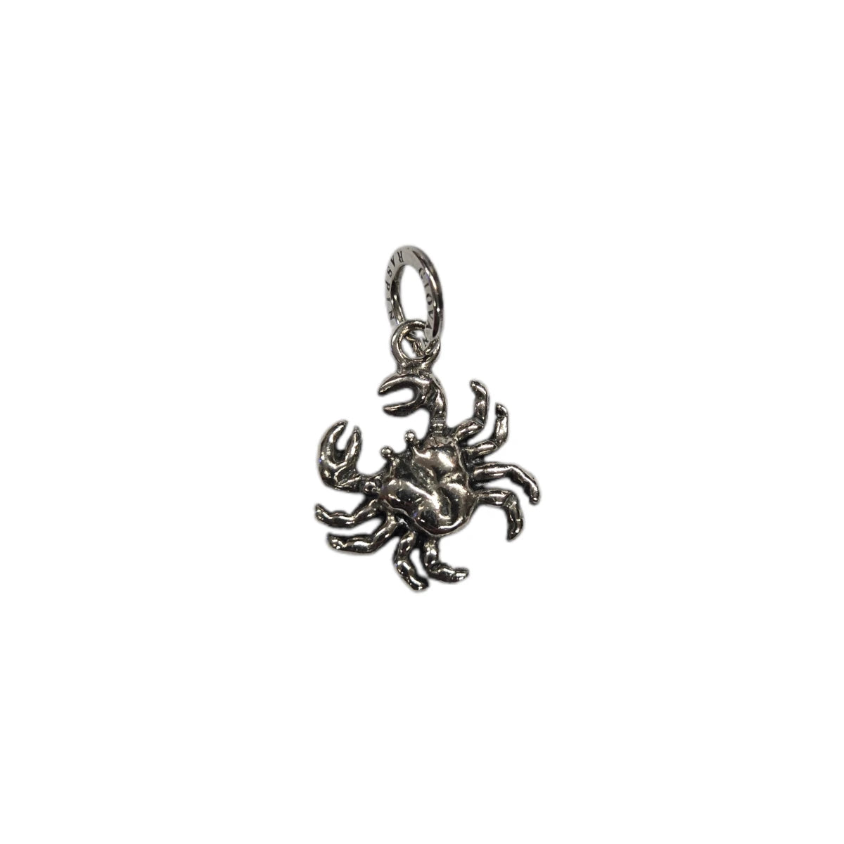 Charm Zodiaco Cancro