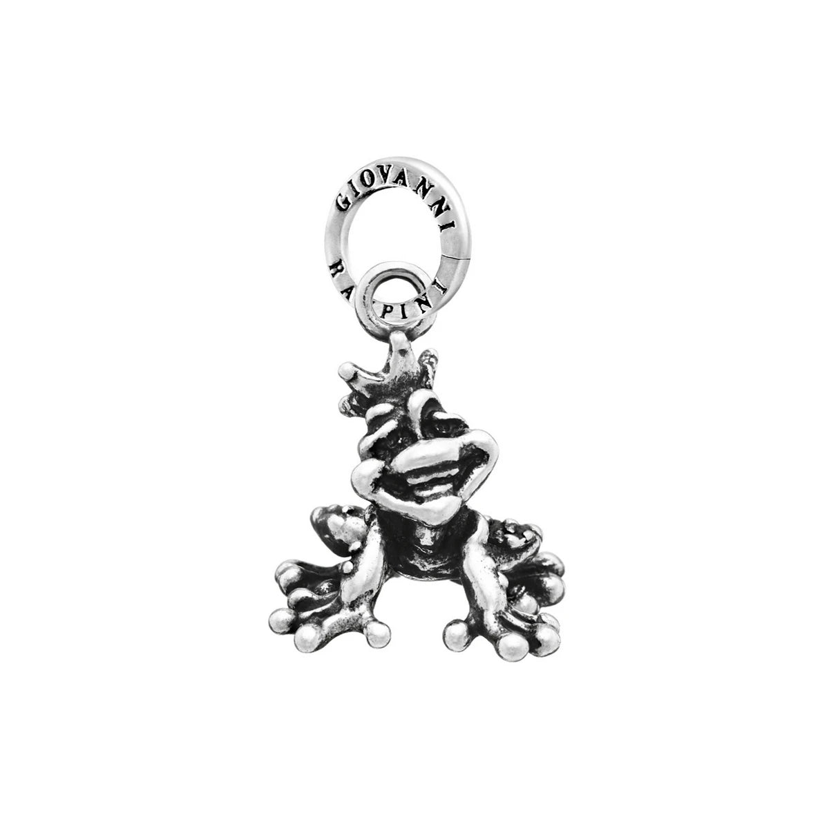 Charm Principe Ranocchio