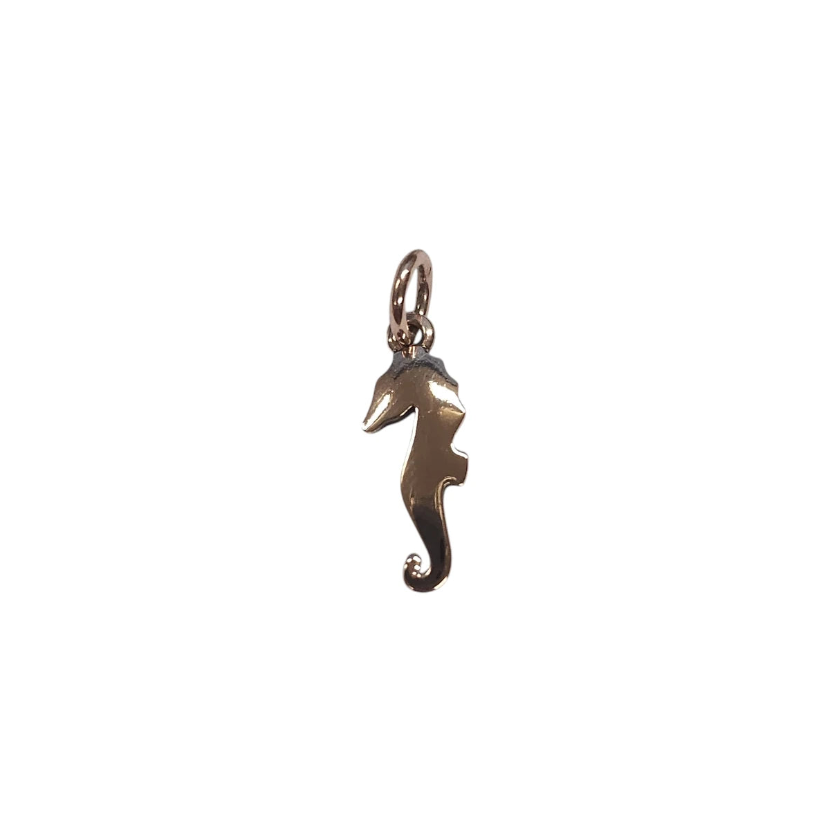 Charm DoDo Cavalluccio Marino