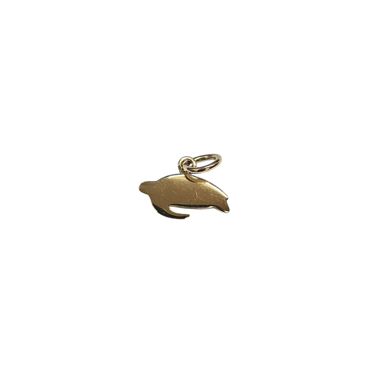 Charm DoDo Tartaruga