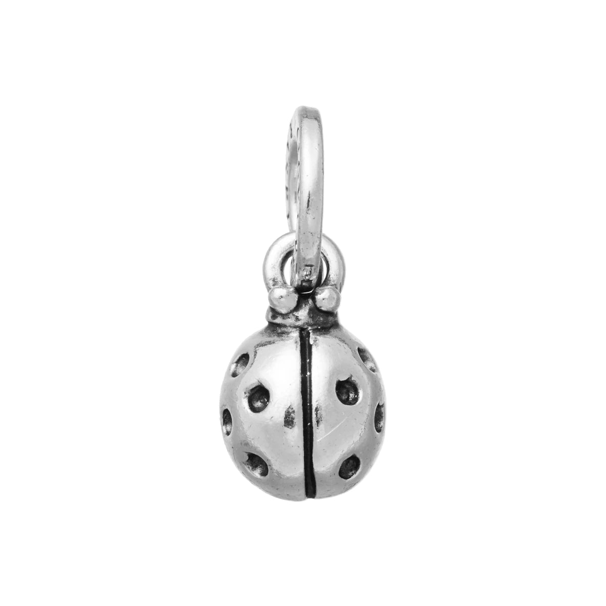 Charm Mini Coccinella