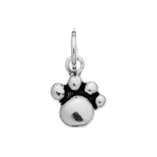 Charm Zampa