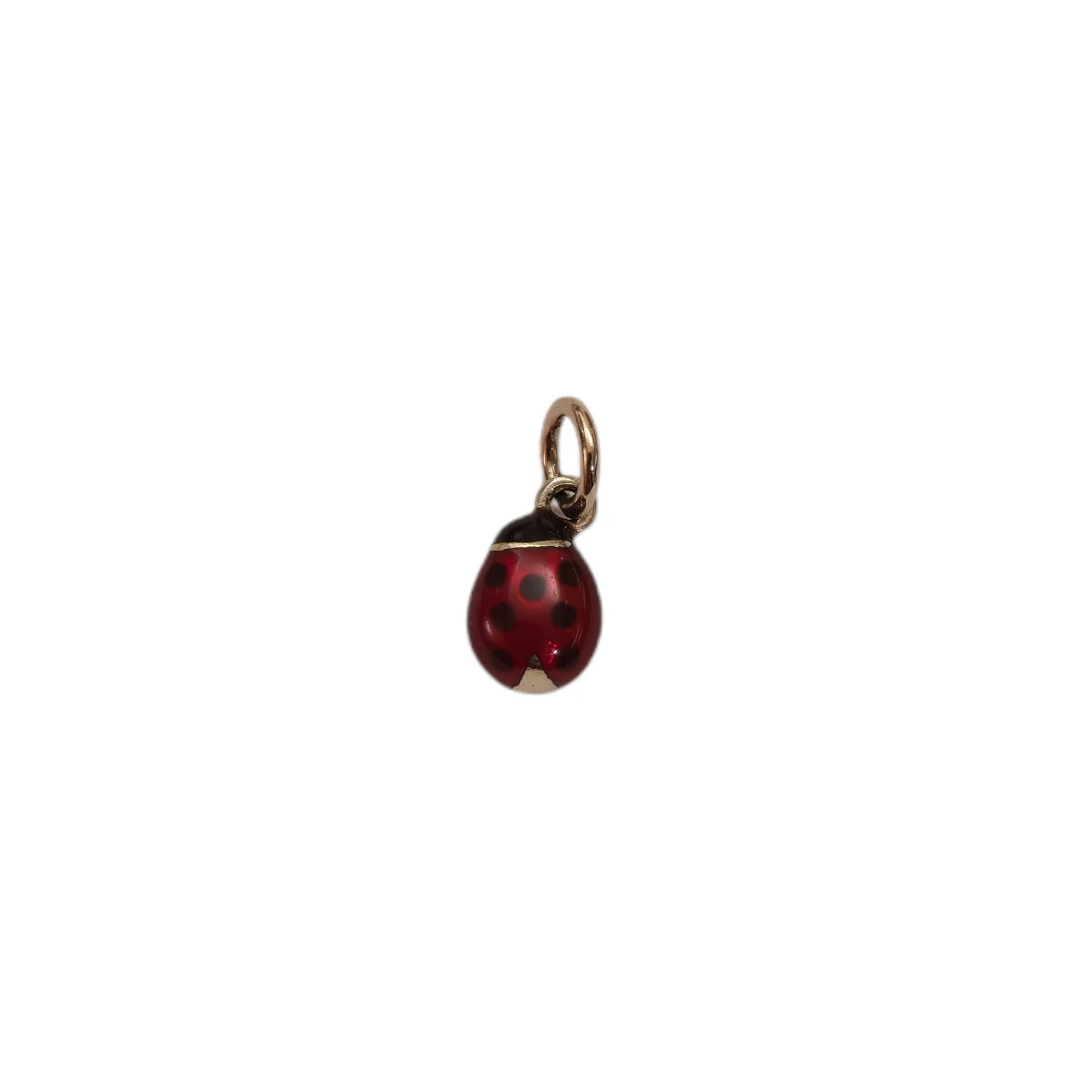 Charm DoDo Coccinella