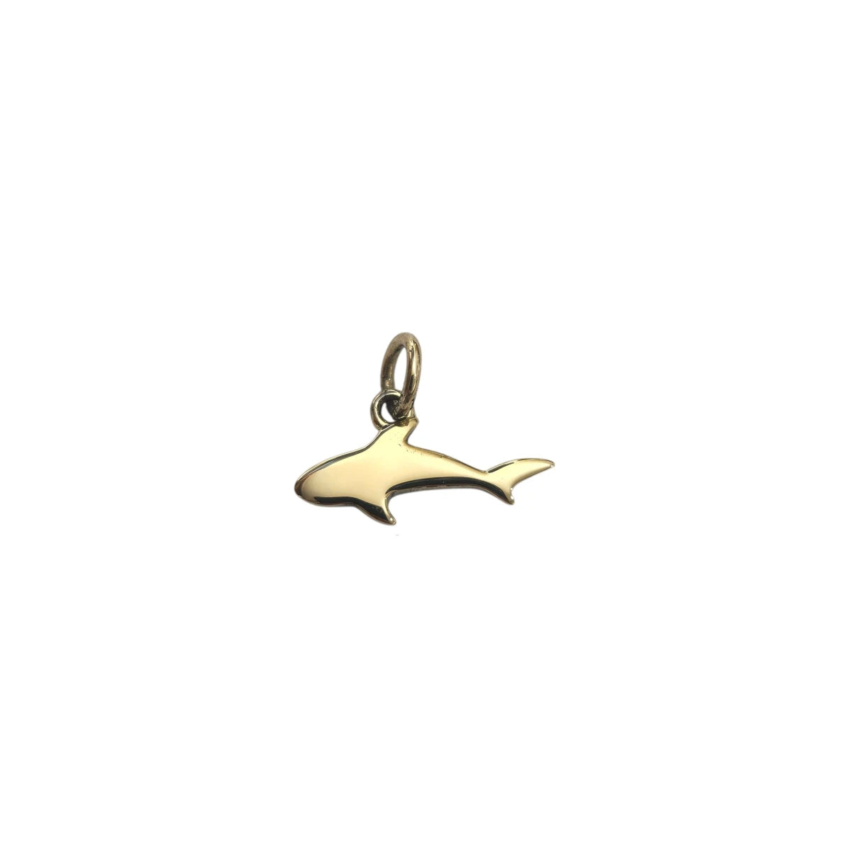 Charm DoDo Squalo