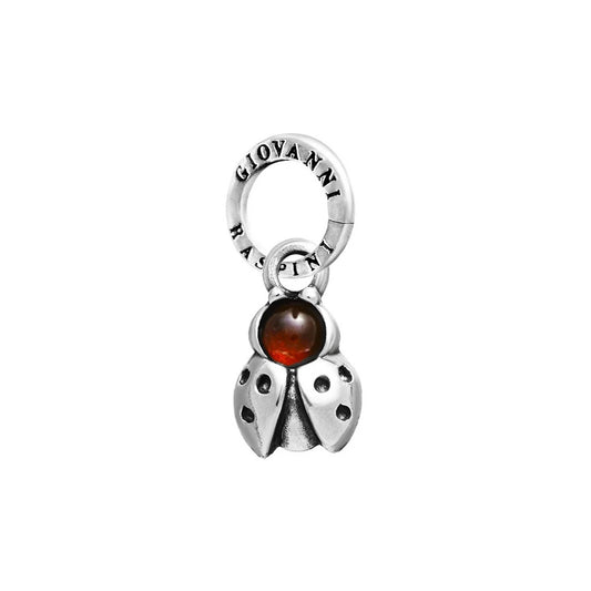 Charm Coccinella Color
