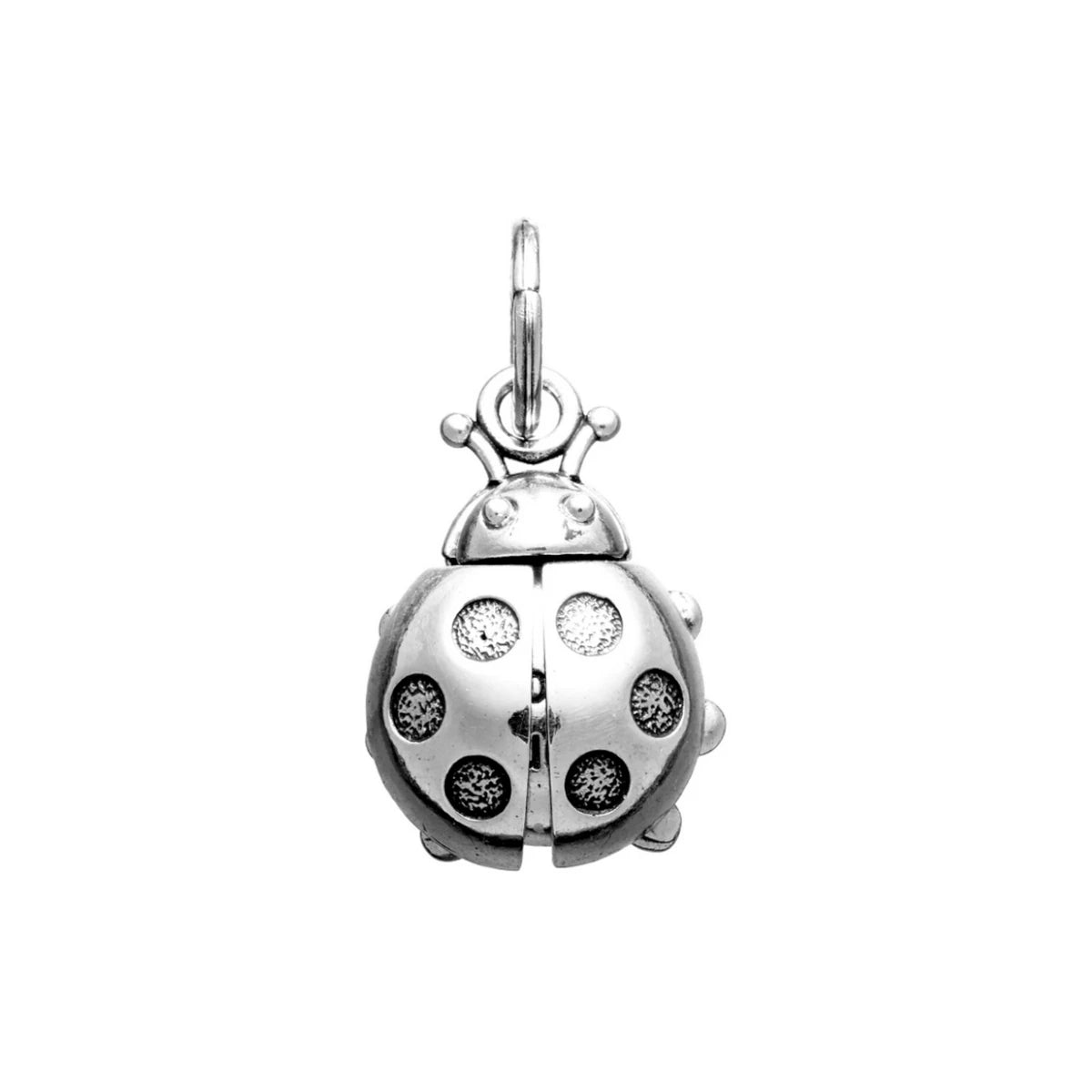 Charm Coccinella Good Luck