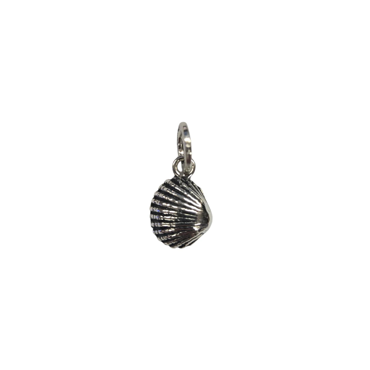 Charm Conchiglia
