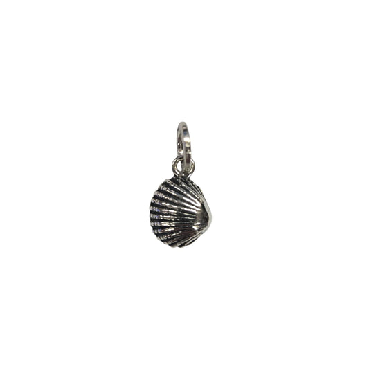 Charm Conchiglia