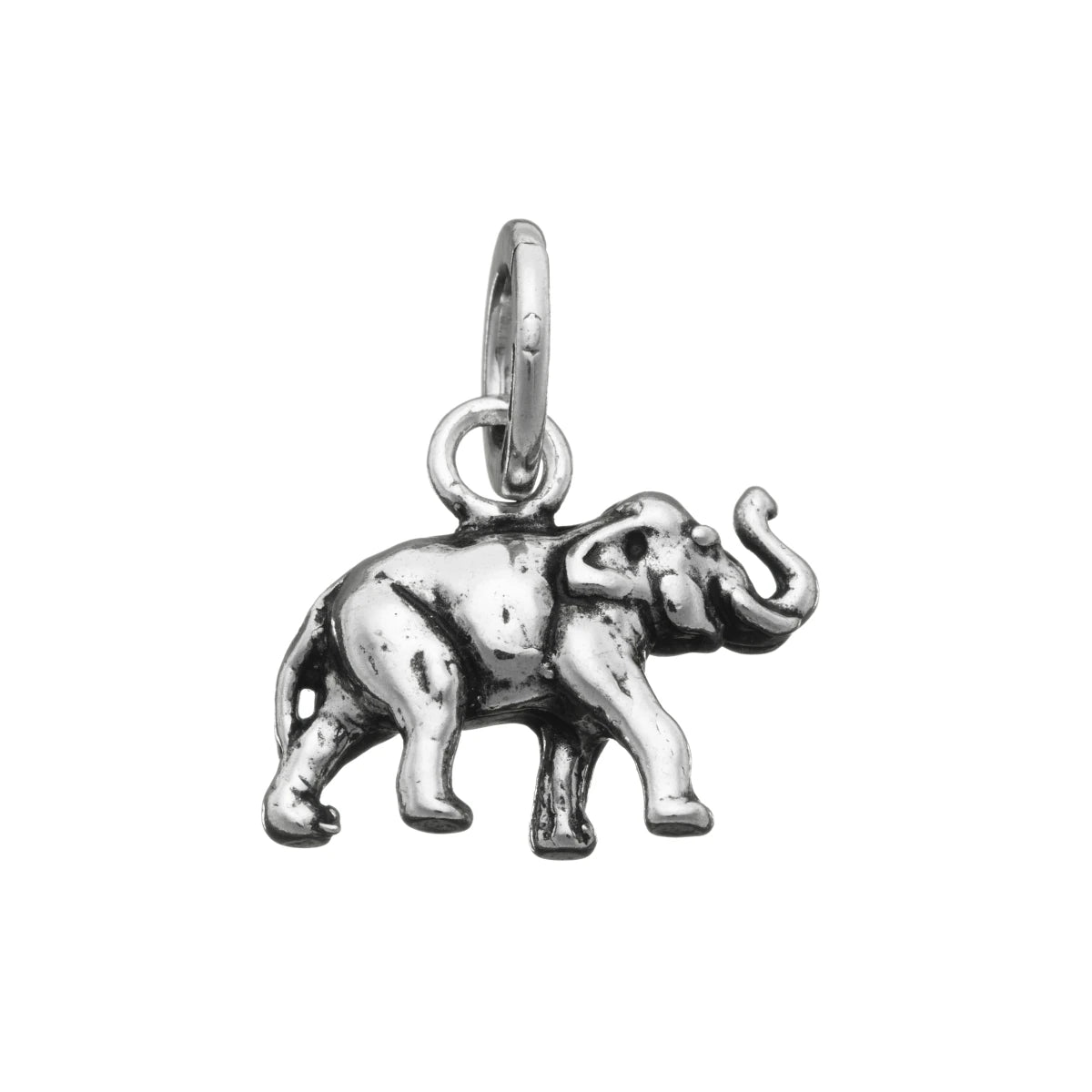 Charm Elefante