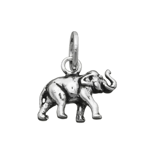 Charm Elefante