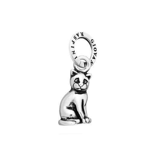 Charm Gatto