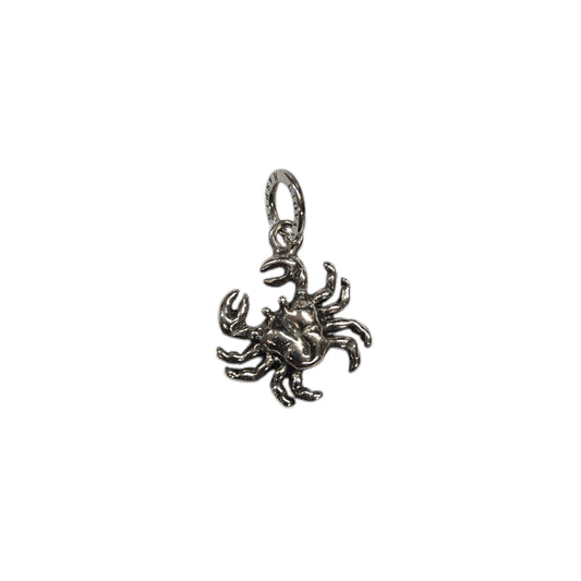 Charm Zodiaco Cancro