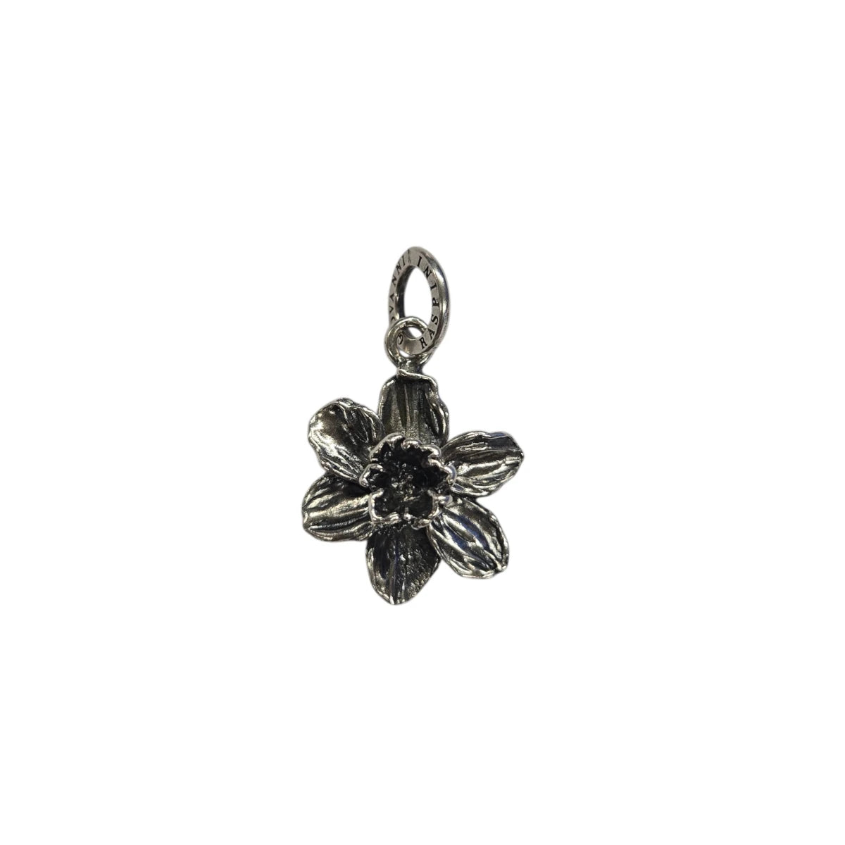 Charm Cursive Letter B