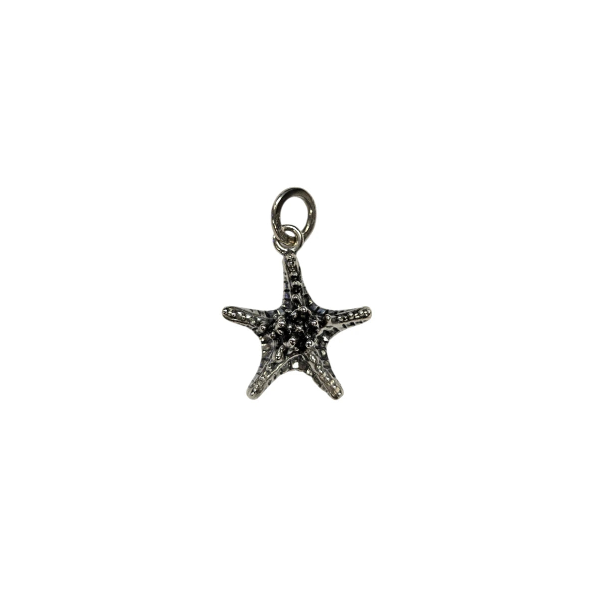Charm Stella Marina Grassa