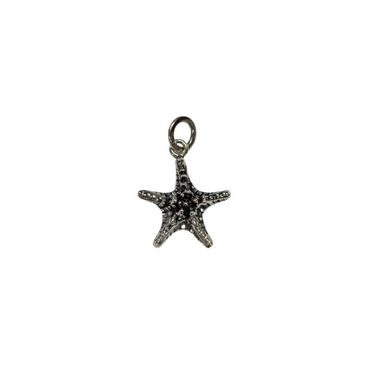 Charm Stella Marina Grassa