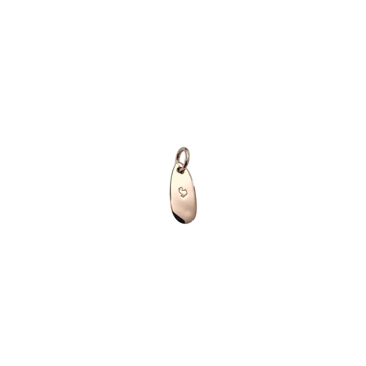 Charm DoDo tag Brave