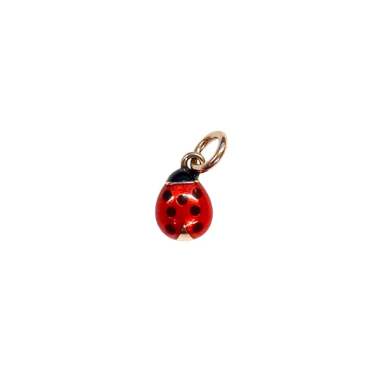 Charm DoDo Coccinella