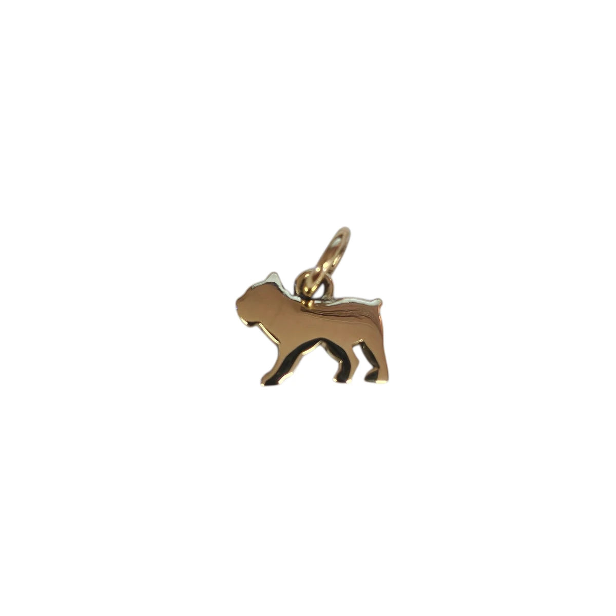 Dodo dog charm