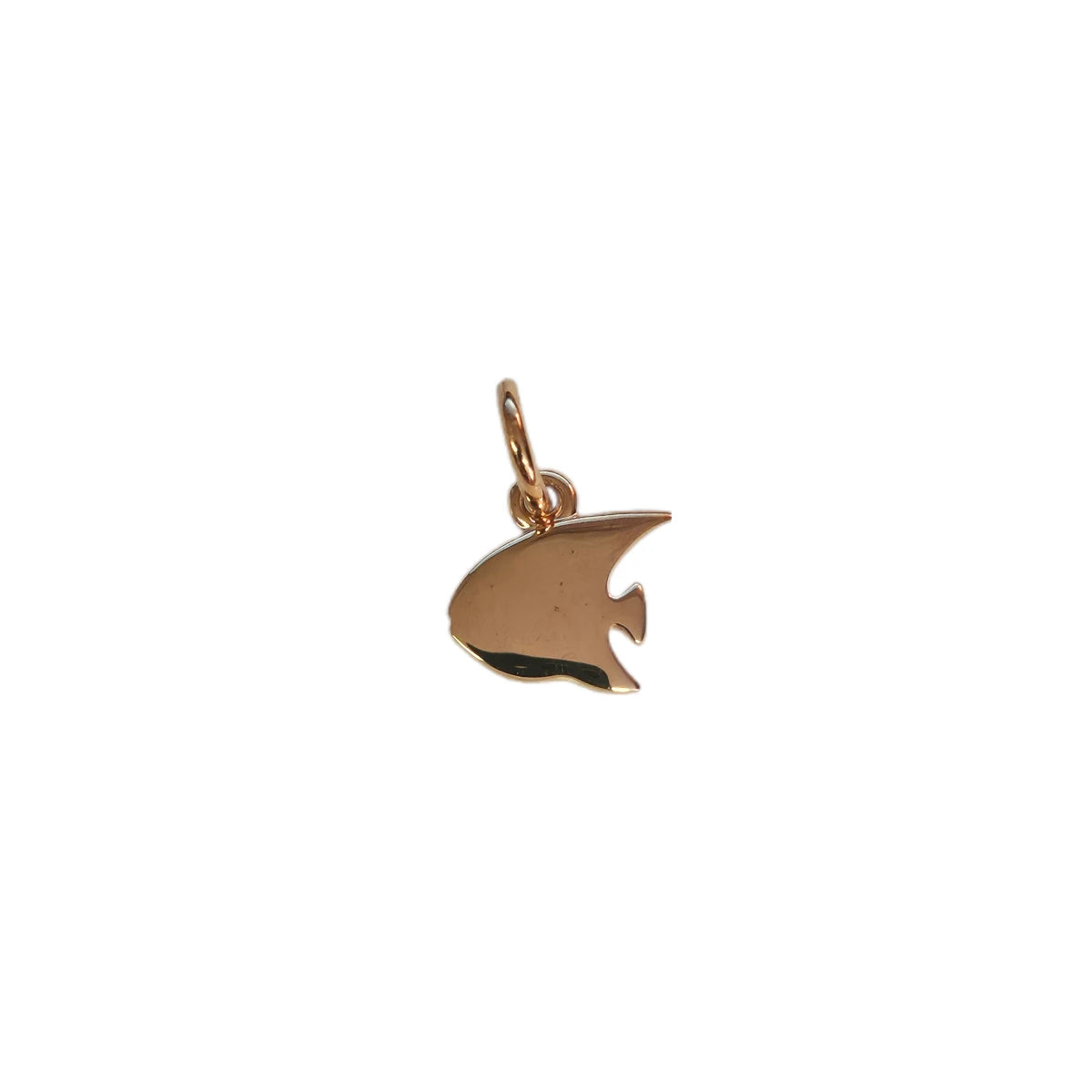 Charm DoDo Pesce angelo
