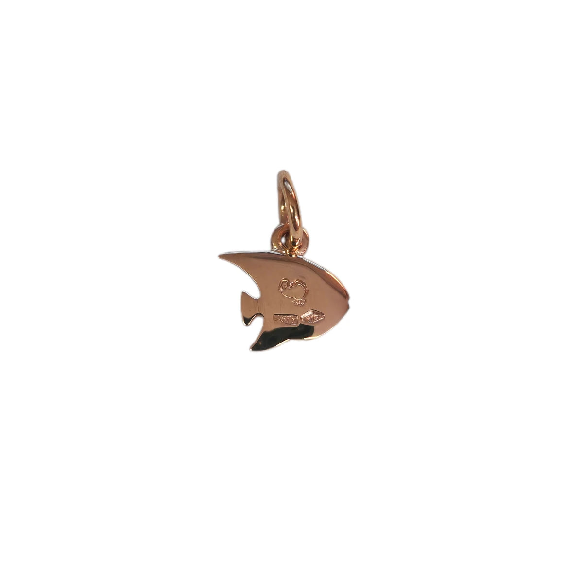 Charm DoDo Pesce angelo