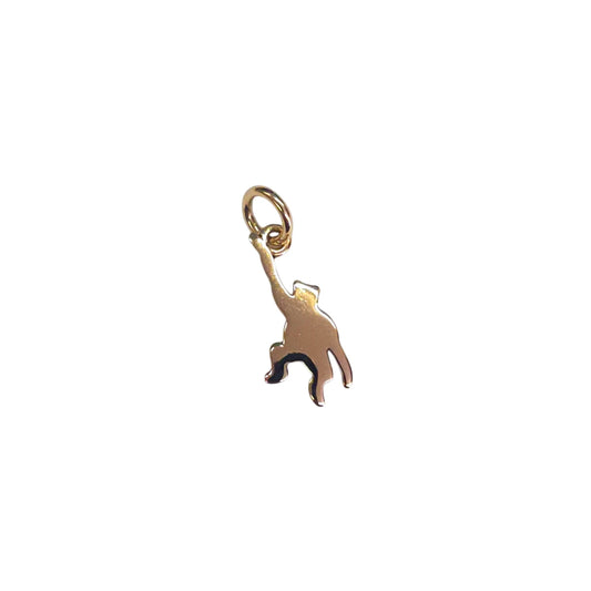 Charm DoDo Scimmia