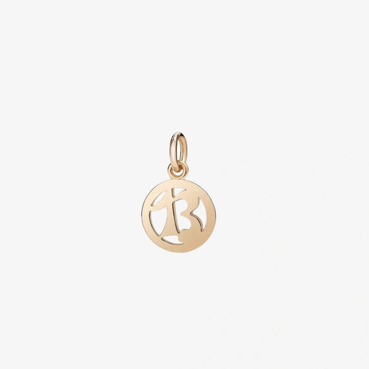 Charm Numero 13
