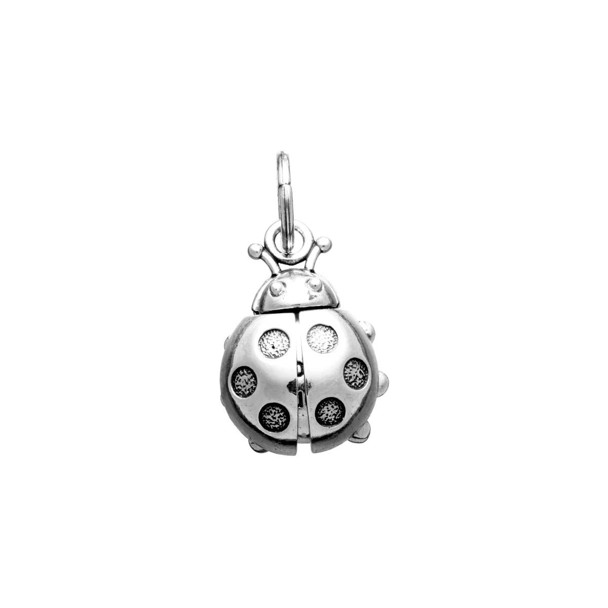 Charm Coccinella Good Luck