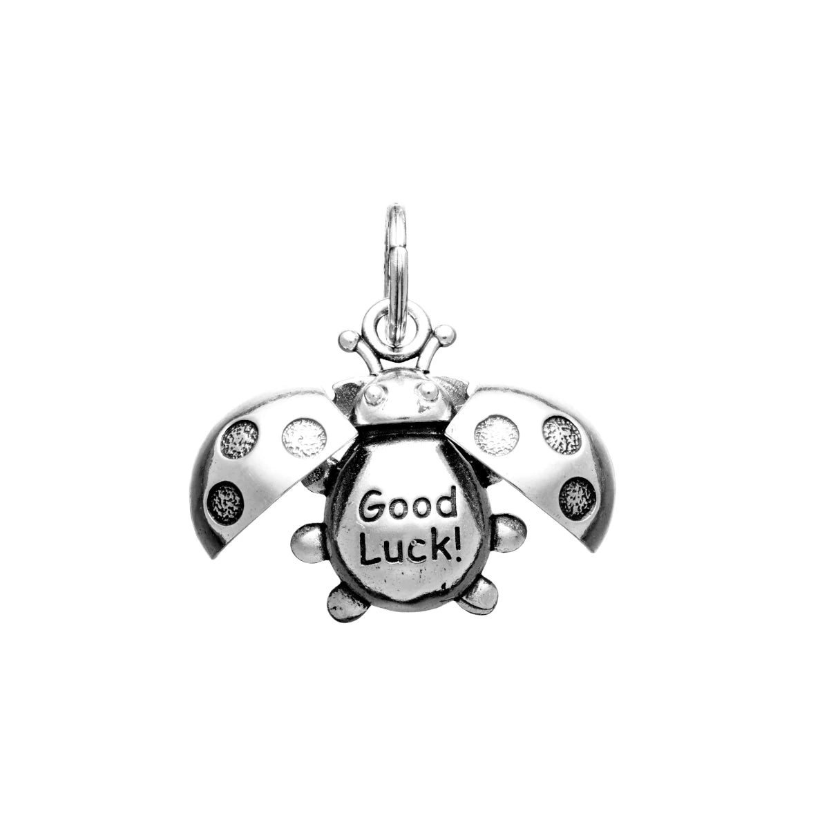Charm Coccinella Good Luck